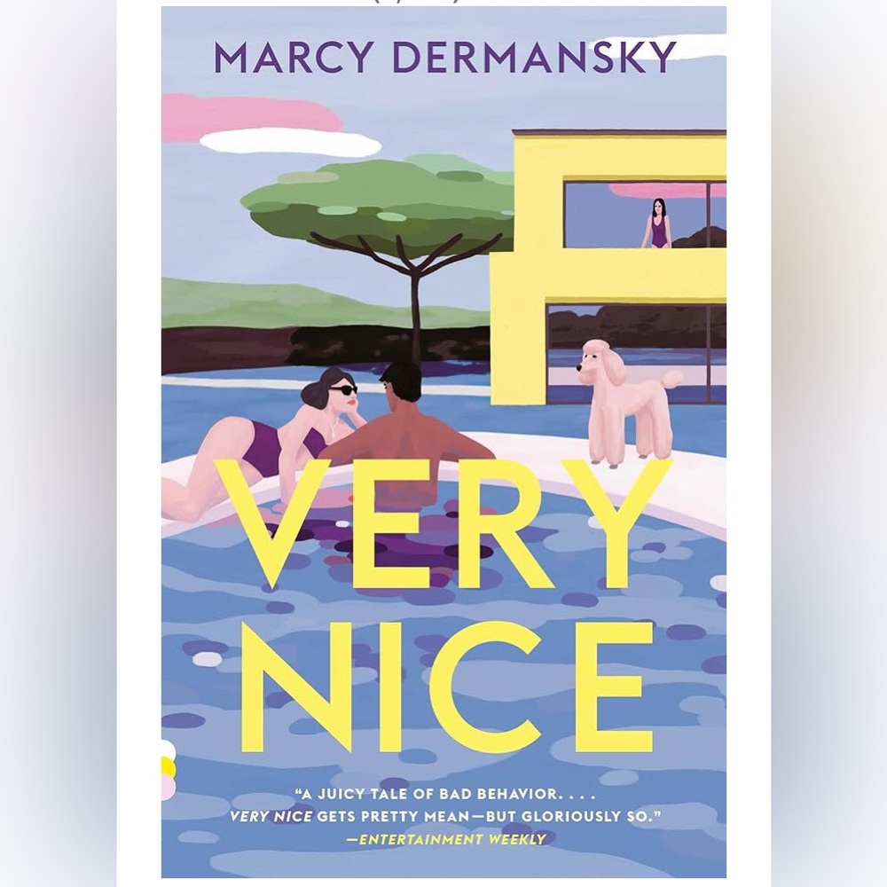 5for$20📗Book -Very Nice by Marcy Dermansky